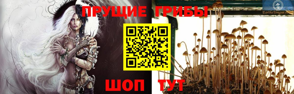 Псилоцибиновые грибы мицелий  Вход с VPN  Холмск 